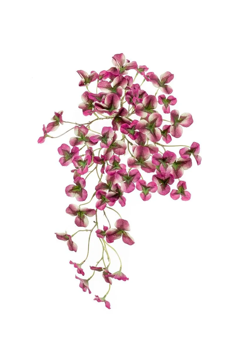 Oxalis Viseći Grm Ljubičasti - 45 cm