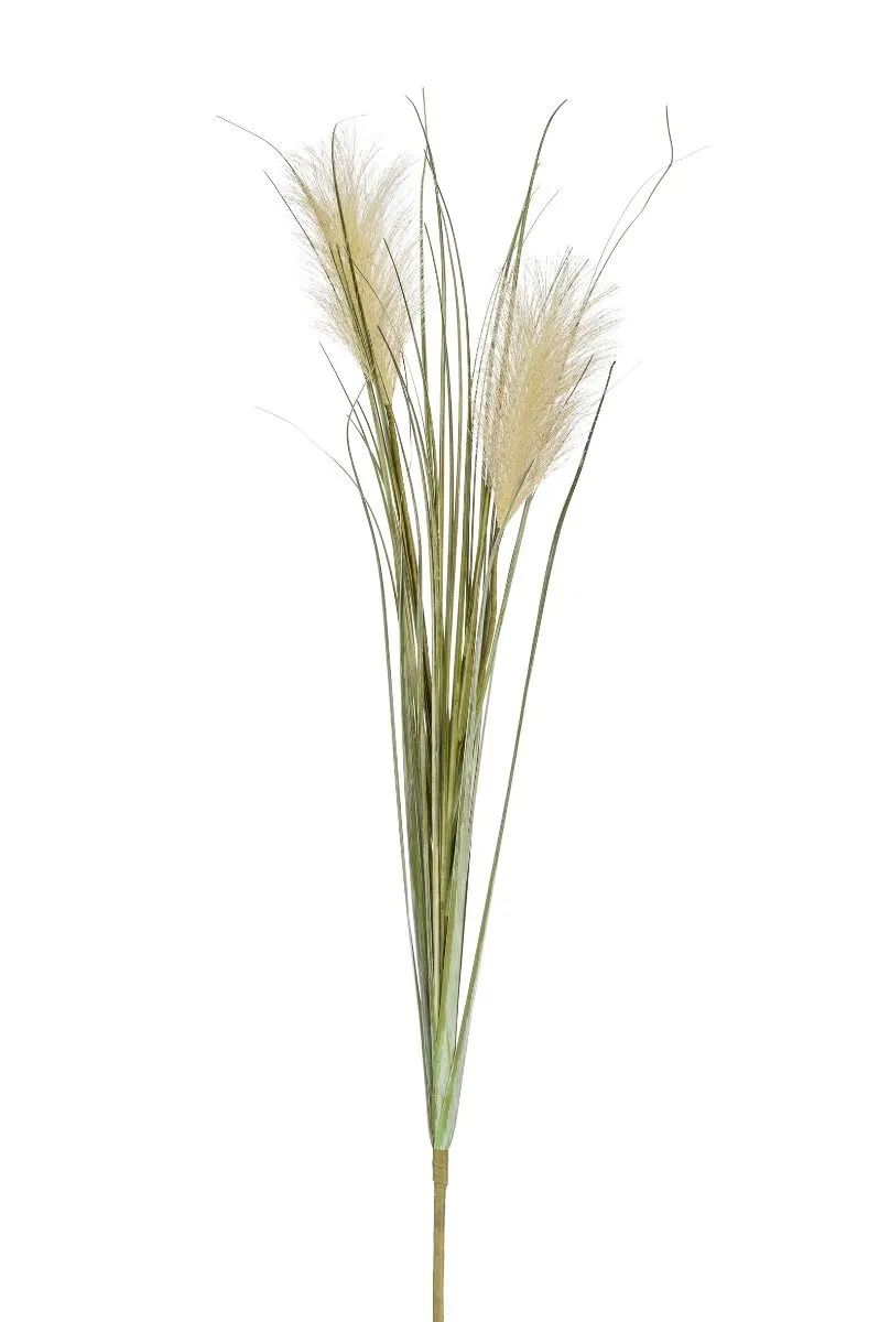 Pampas Trava - 2 Grane - 78 cm