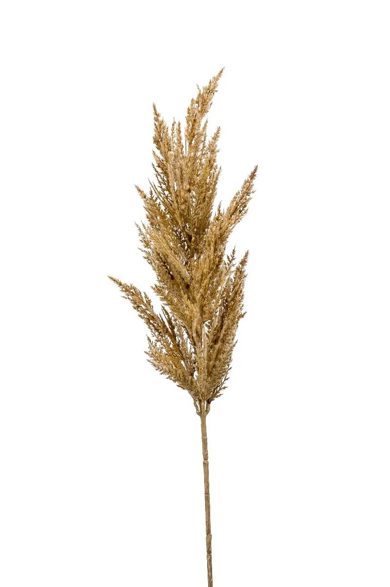 Pampas Trava Prskana Bež - 92 cm