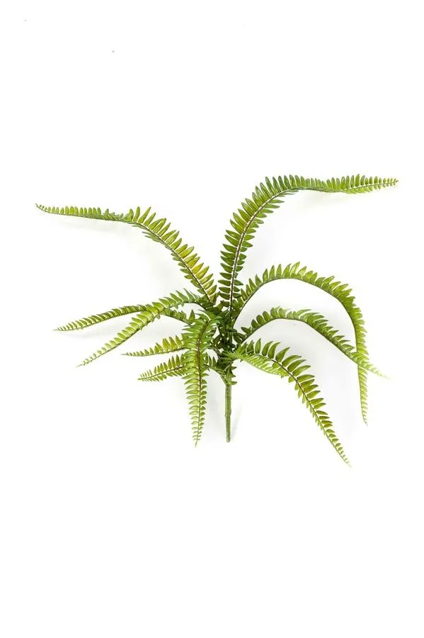 Paprat Žbun Zeleni - 11 Grana - 58 cm