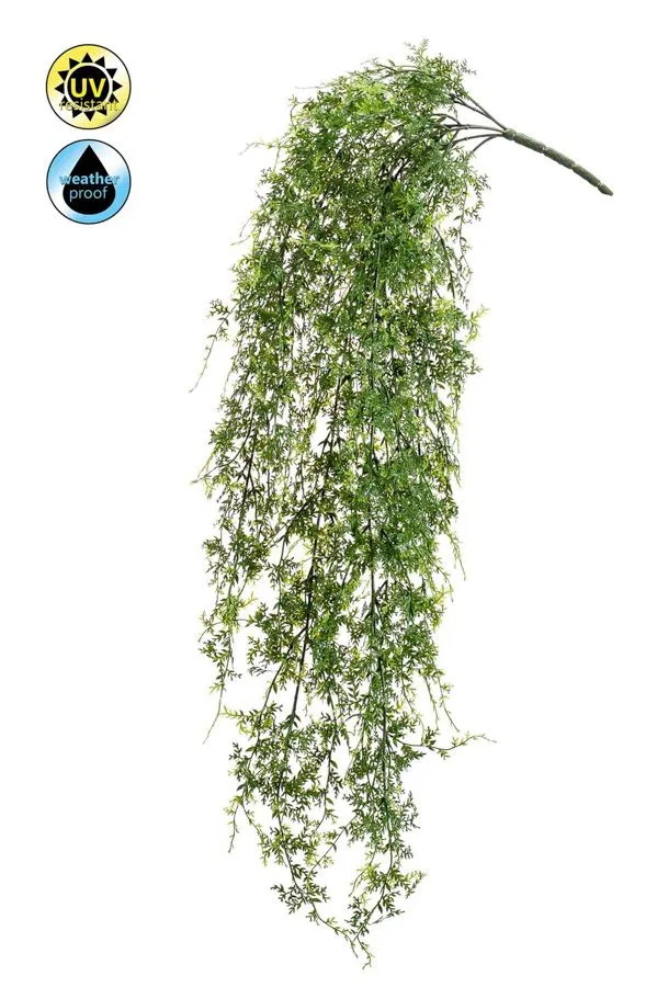 Paprat Viseća - 80 cm