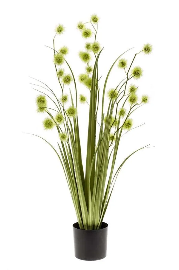 Pom Pom Trava Zelena - 85 cm