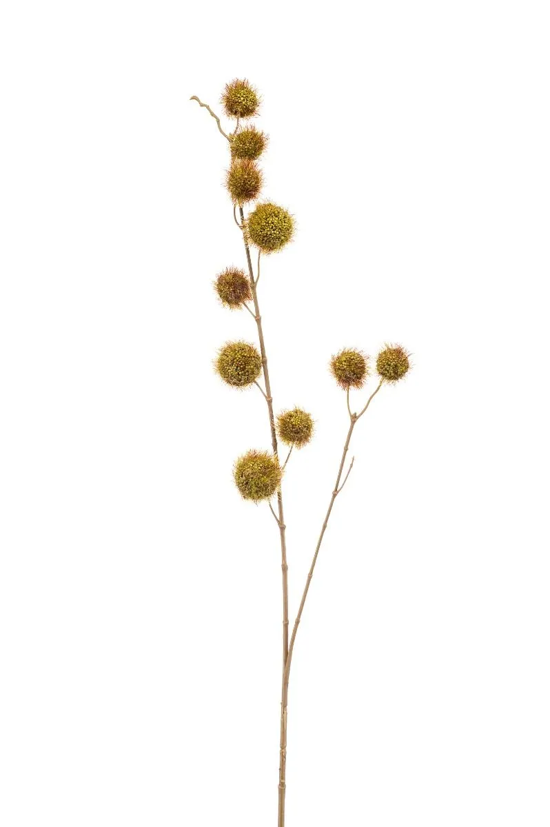 Pom Pom Zeleni - Dve Grane - 82 cm