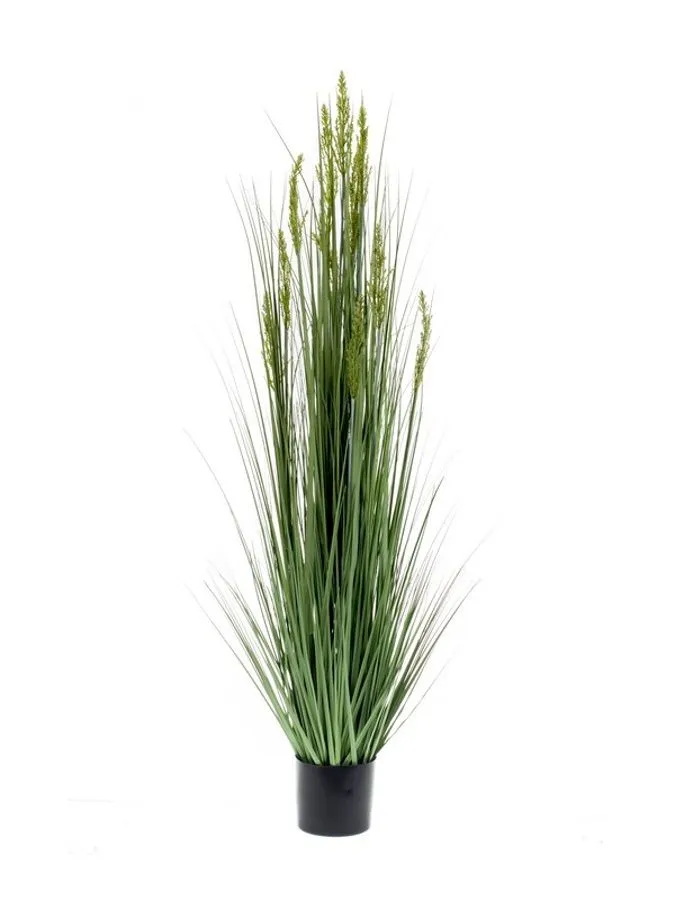 Trava U Saksiji - 150 cm