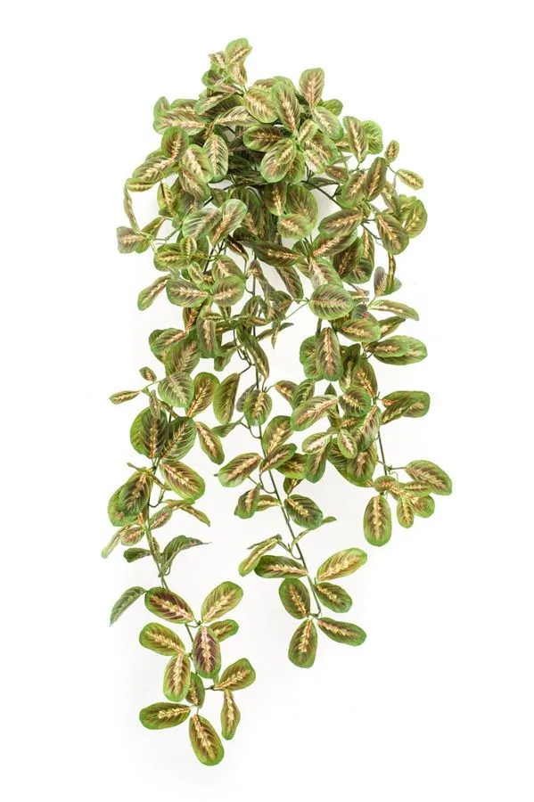 Veštačko Cveće Maranta viseća - 70 cm