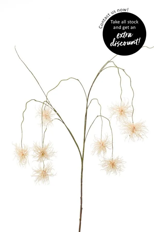Xantium Grana Bela - 120 cm