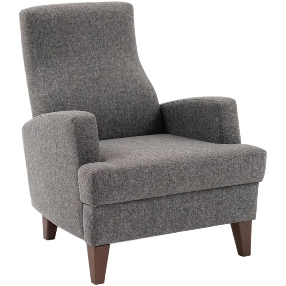 ASIR GROUP Kana Bergere Dark Grey Fotelja