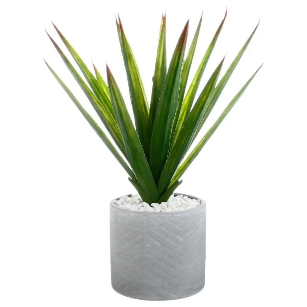 ATMOSPHERA Aloe vera u saksiji