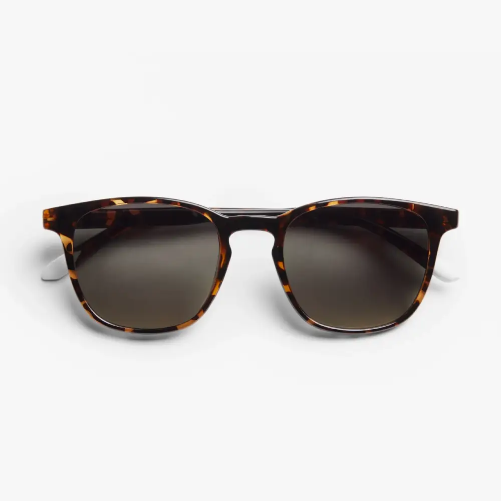 BARNER Dalston Glossy Sun Tortoise Naočare za sunce