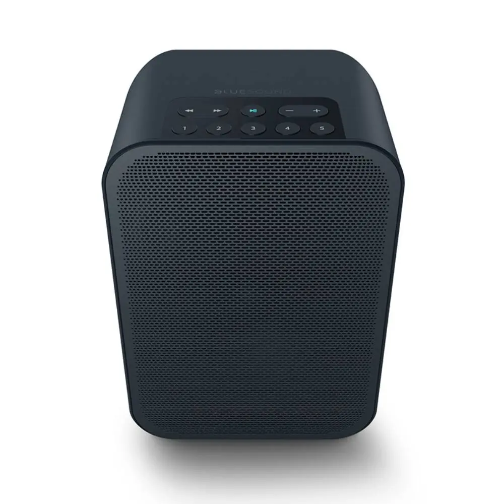 BLUESOUND Pulse Flex 2i Black Wi-Fi zvučnik