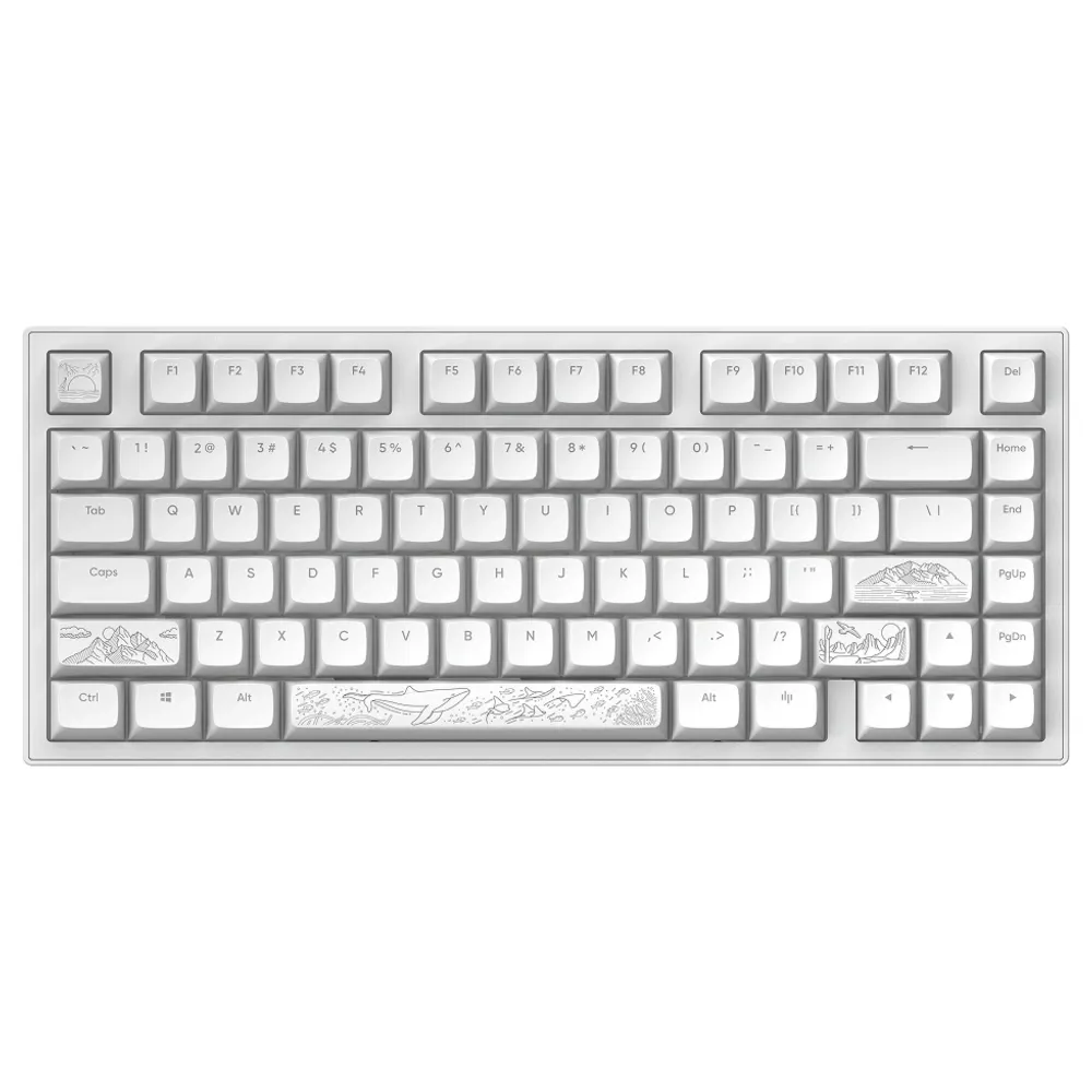 DARK PROJECT Terra Nostra US White Tastatura