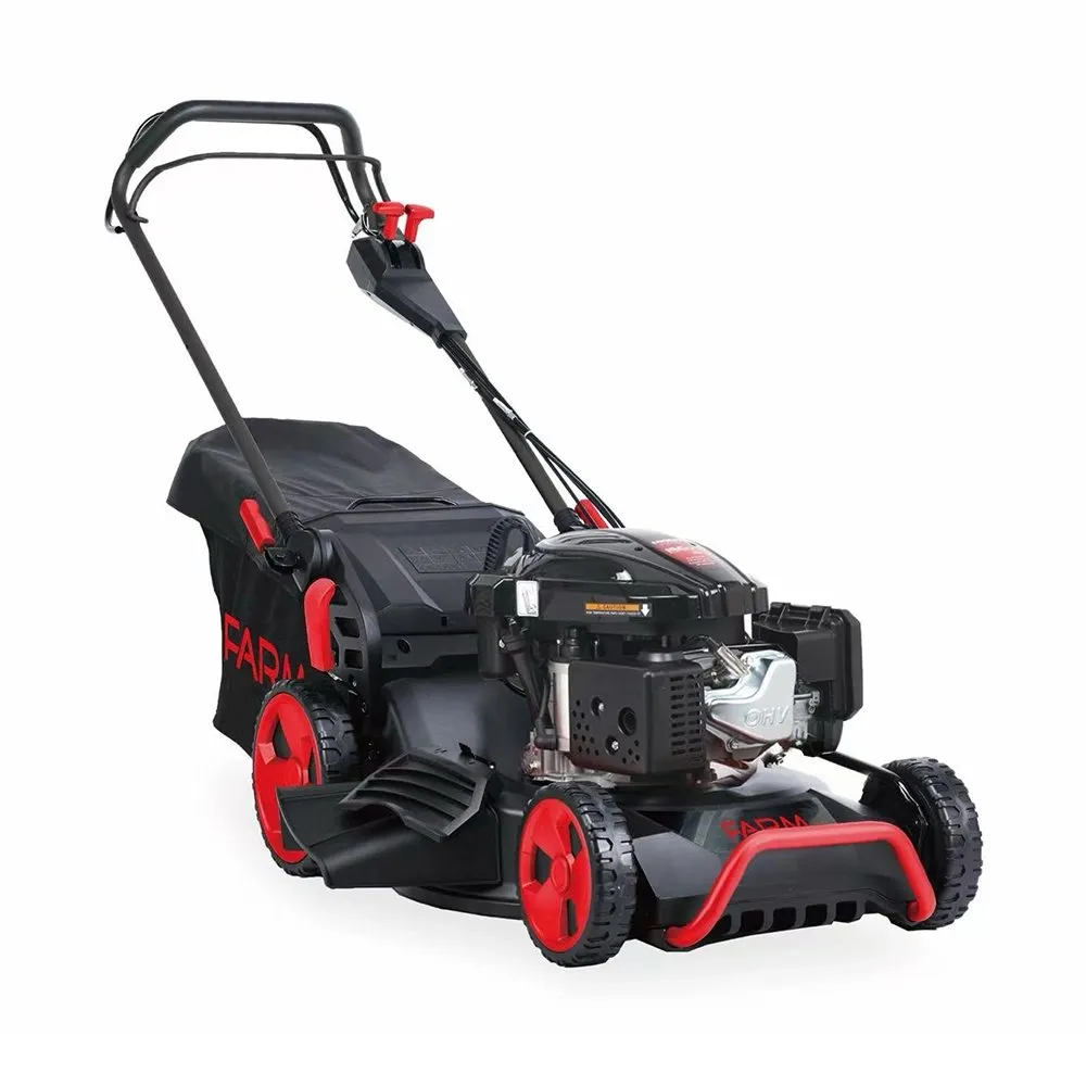 FARM FLM53P Motorna kosilica