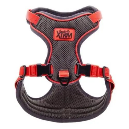 FERRIBIELLA Aria M Am za pse 2.5 x 61-72 cm
