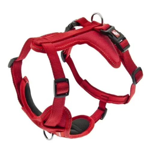 FERRIBIELLA Cesare L Am za pse Crvena 2.5 cm, 47-72 cm