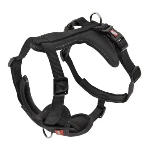 FERRIBIELLA Cesare M Am za pse Crna 2 cm, 40-62 cm