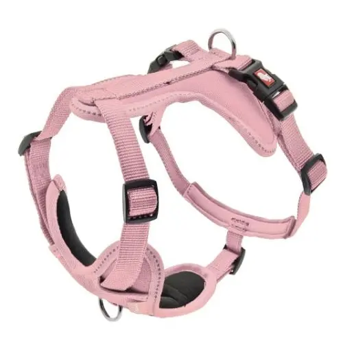 FERRIBIELLA Cesare M Am za pse Roze 2 cm, 40-62 cm