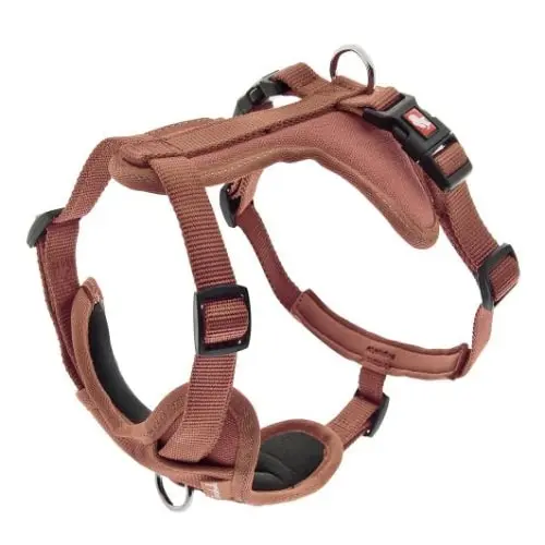 FERRIBIELLA Cesare S Am za pse Braon 1.5 cm, 33-52 cm