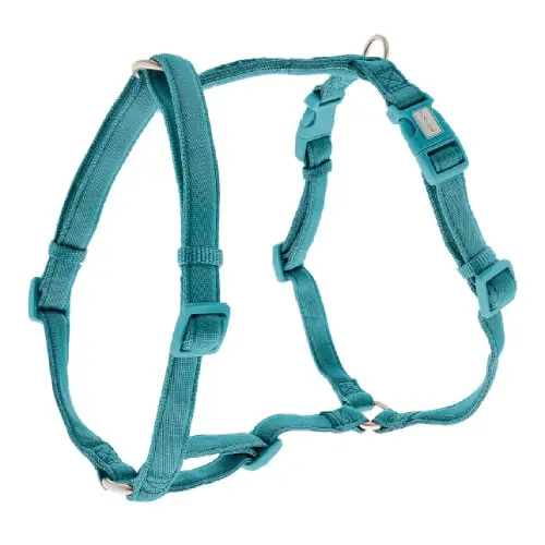 FERRIBIELLA Fuss Comfort Podesivi am za pse Zelena 1 cm