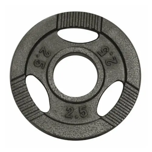 GORILLA SPORTS Teg od livenog gvožđa 2.5 kg