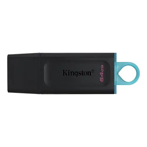 KINGSTON USB Flash memorija 64GB DTX/64GB