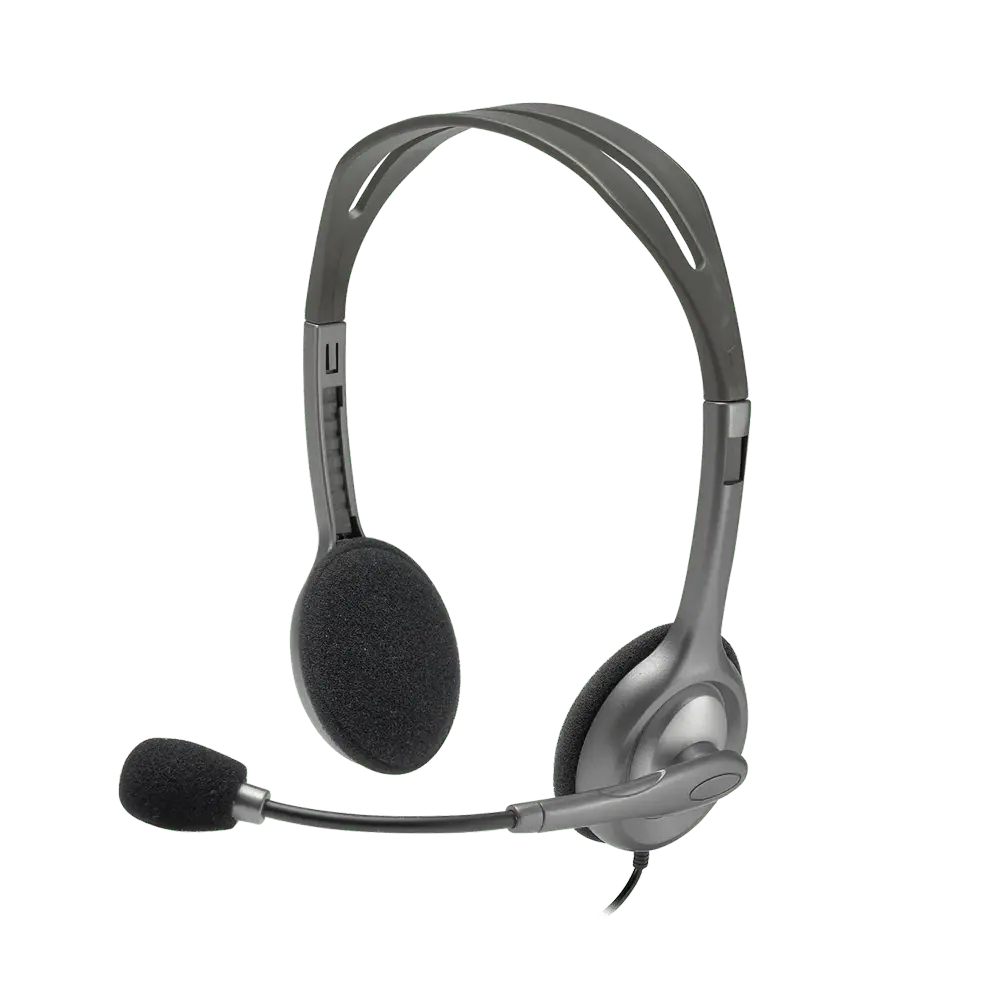LOGITECH H110 Stereo Headset - 981-000271