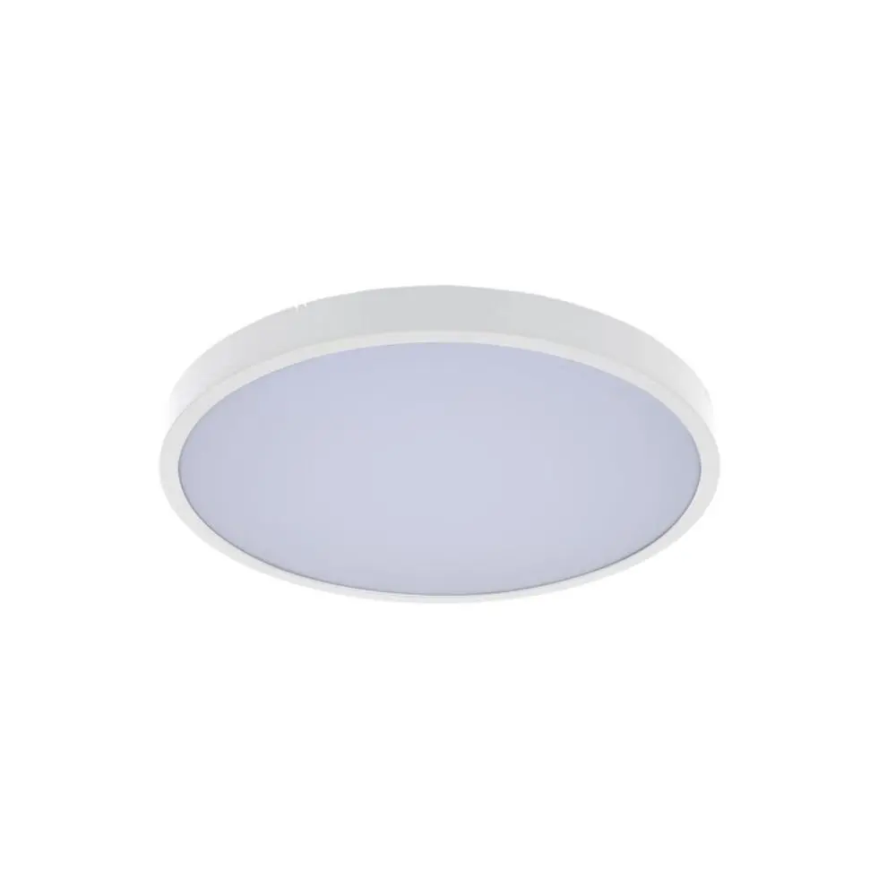 RABALUX Alenzo LED 12W 71425 Plafonska lampa