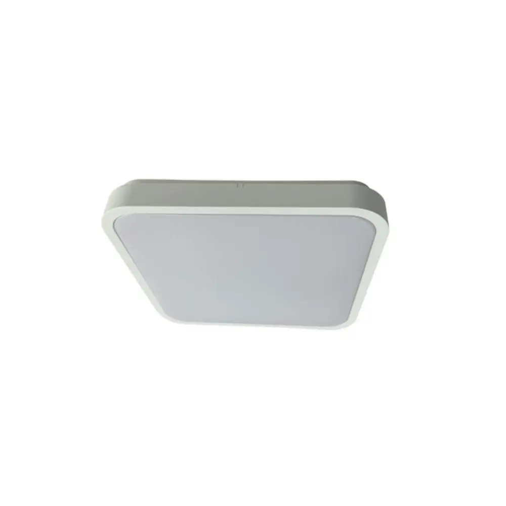 RABALUX Alenzo LED 24W 71422 Plafonska lampa