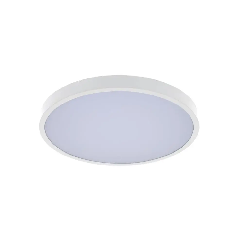 RABALUX Alenzo LED 24W 71428 Plafonska lampa