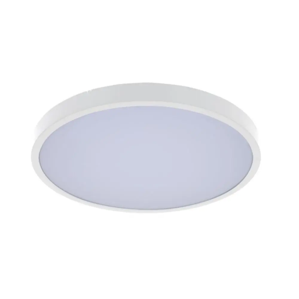 RABALUX Alenzo LED 71429 Plafonska lampa