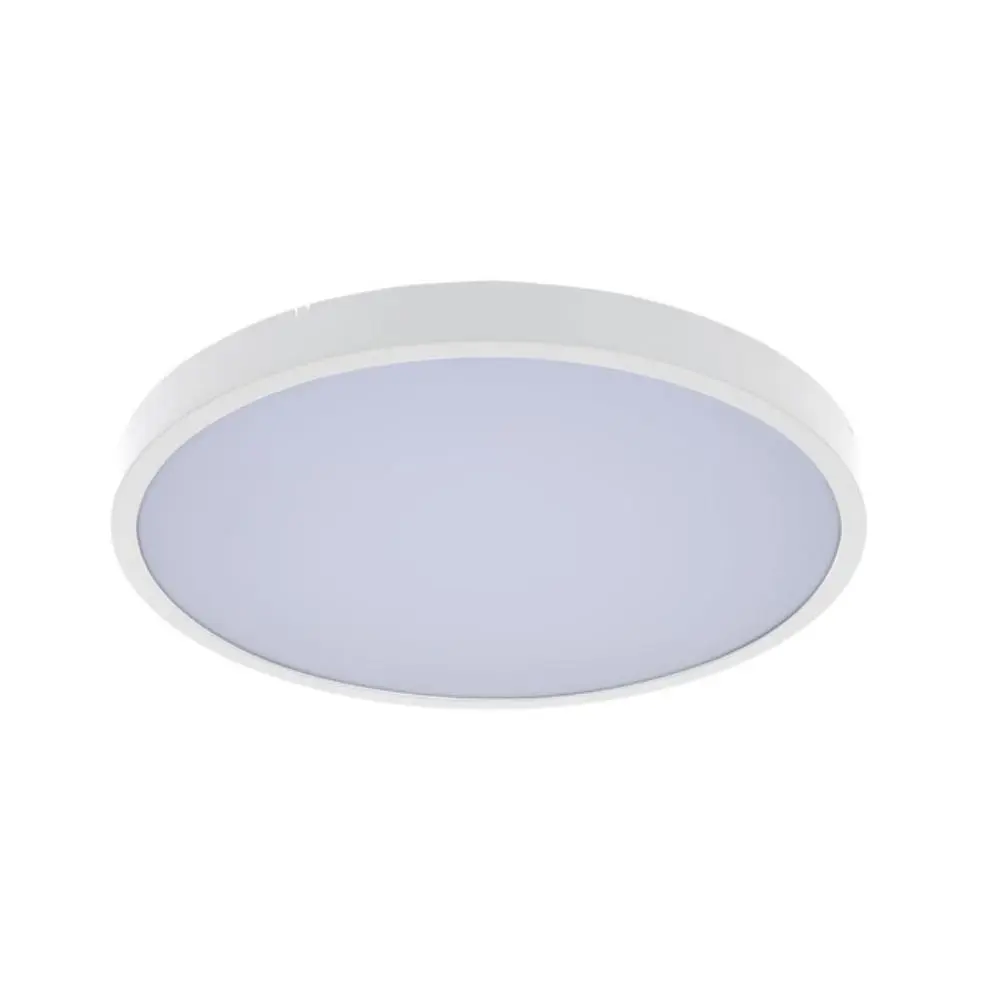 RABALUX Alenzo LED 71430 Plafonska lampa