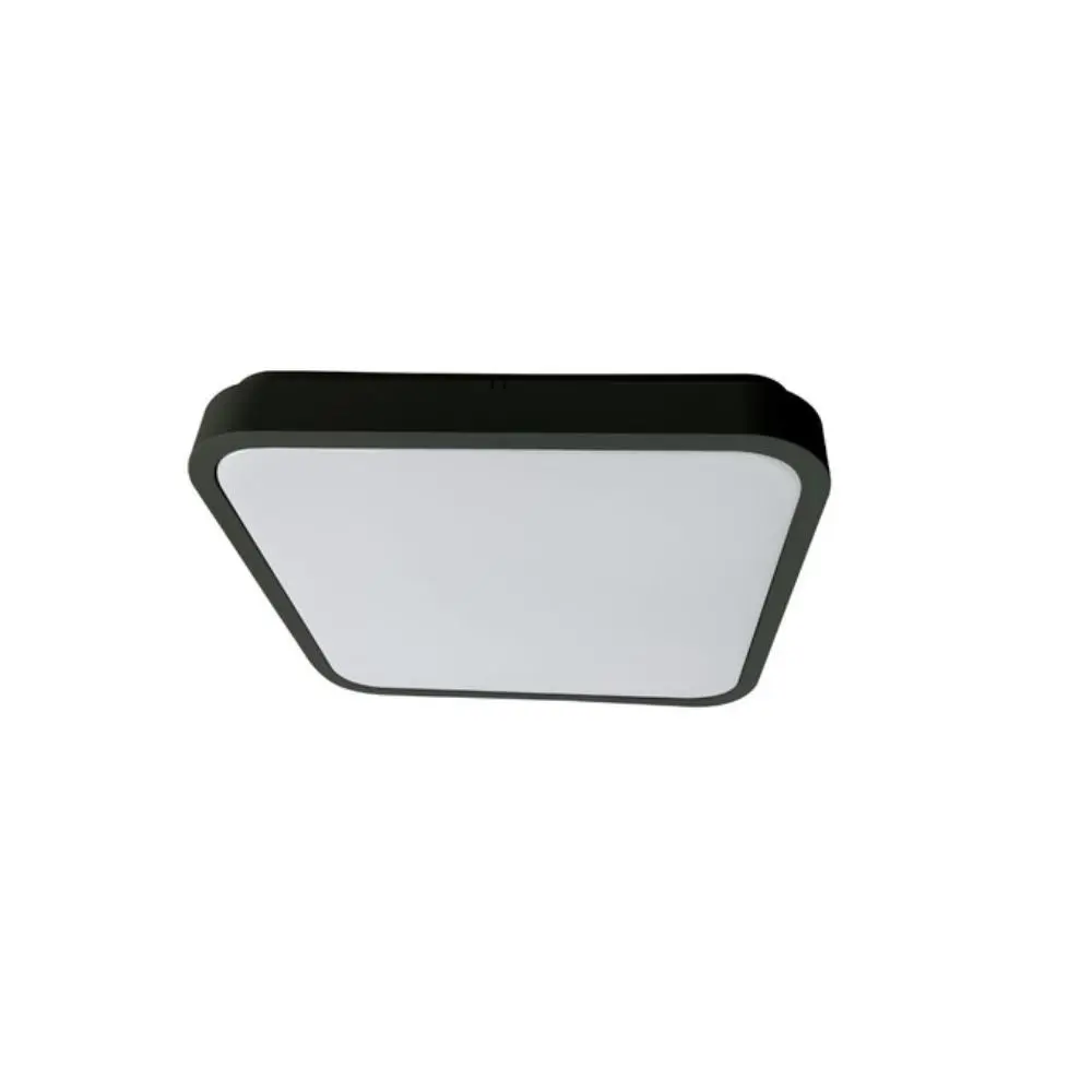 RABALUX Alenzo LED 71432 24W Plafonska lampa