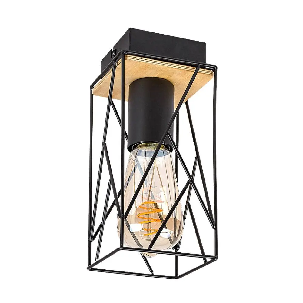 RABALUX Boire 71021 E27 40 W Plafonjera