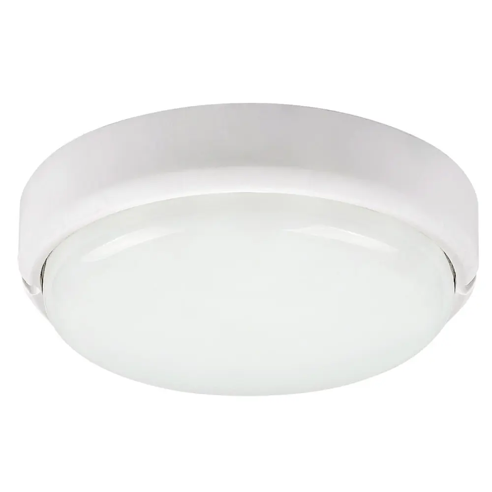 RABALUX Hort 7406 LED zidna/plafonska lampa