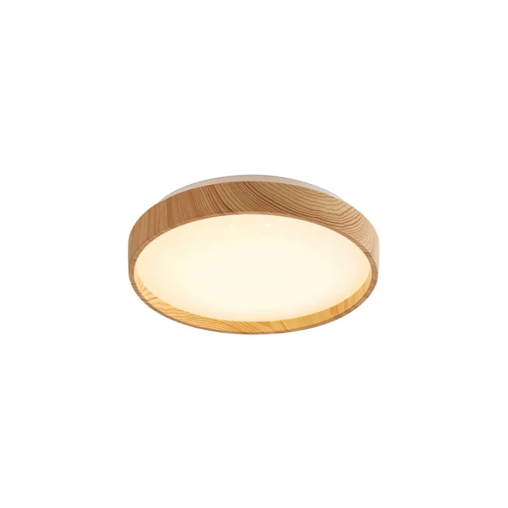 RABALUX Leana 2 71143 LED 12W Plafonjera