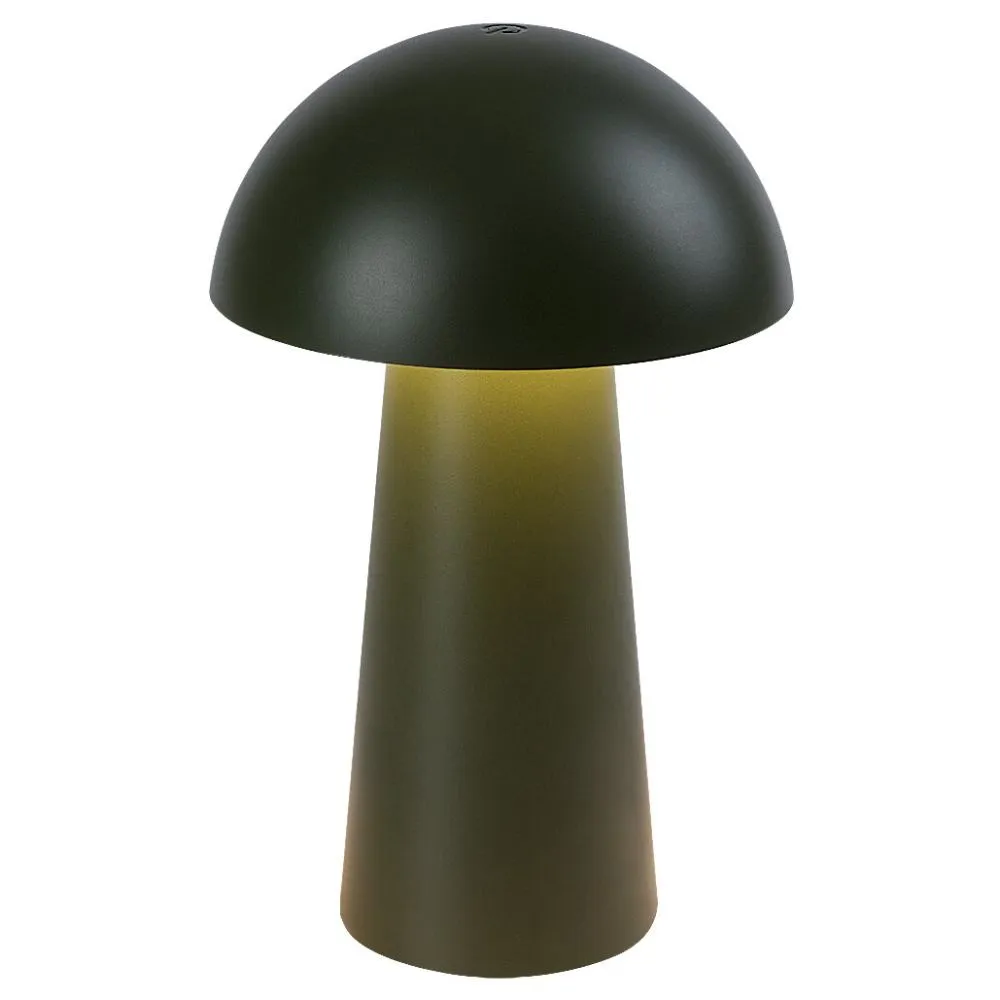 RABALUX Mireo Green LED 76038 Stona lampa