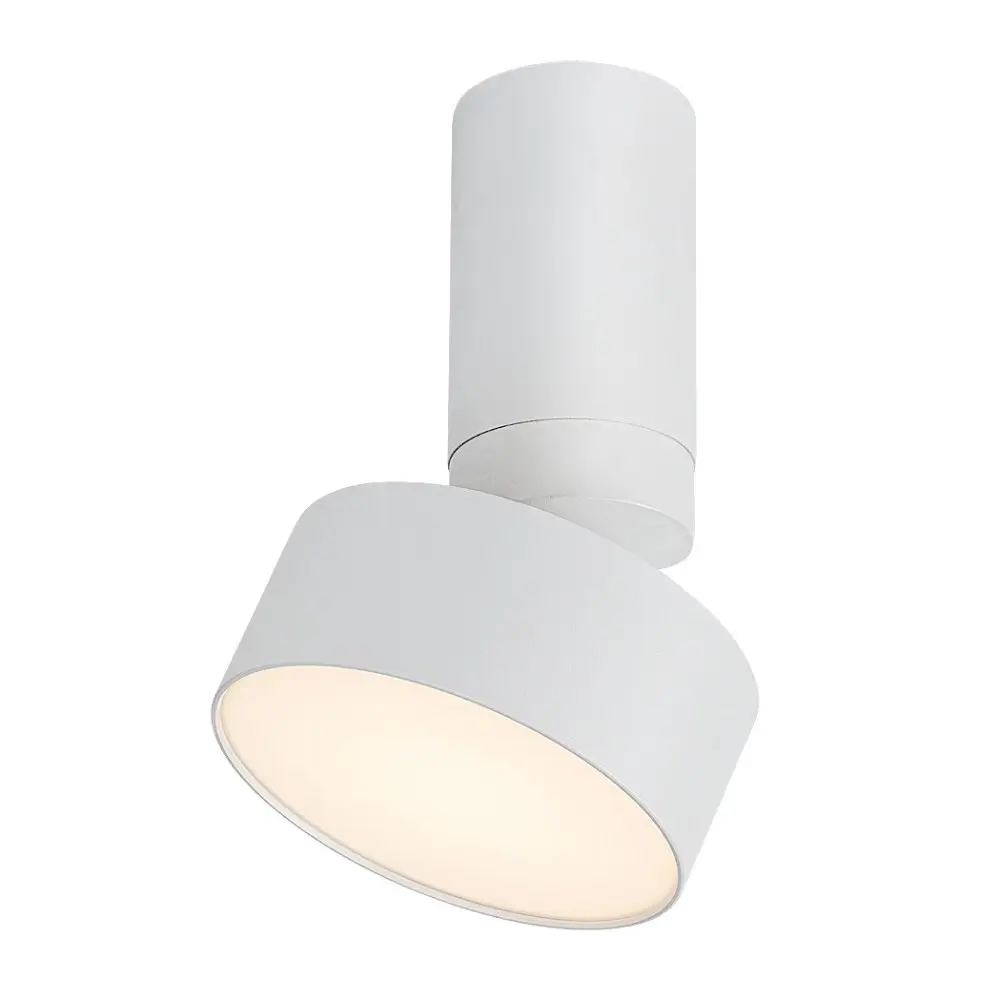RABALUX Ovidia 71326 LED Spot