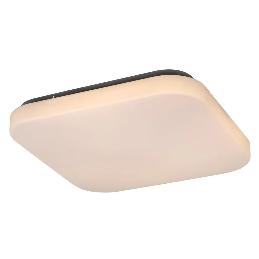RABALUX Rob 3340 LED 20 W Plafonjera