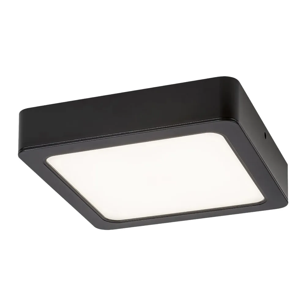 RABALUX Shaun 2 71215 LED 24W Plafonjera