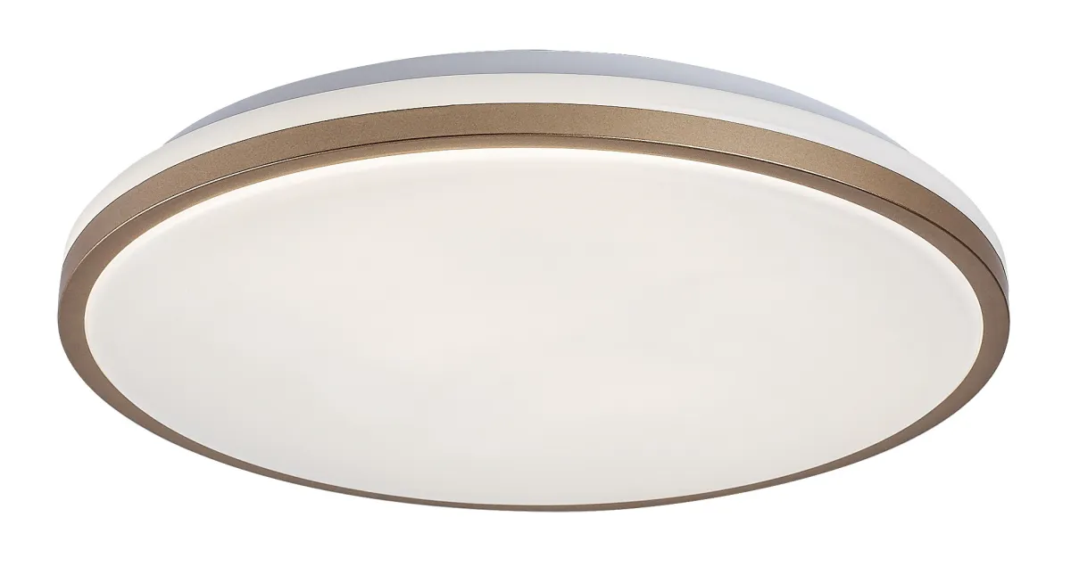RABALUX Slava LED 75058 Plafonska lampa za kupatilo