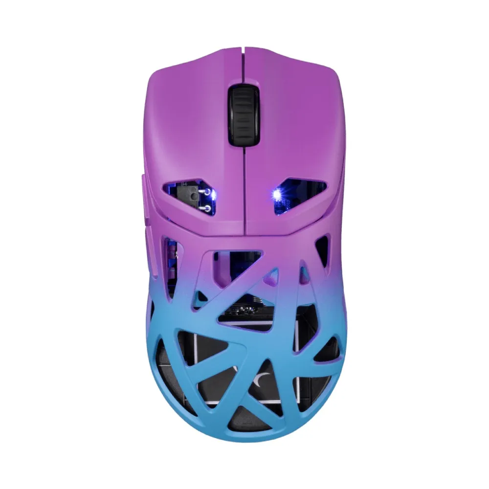 WHITE SHARK Dagonet WGM 5019 Blue Purple