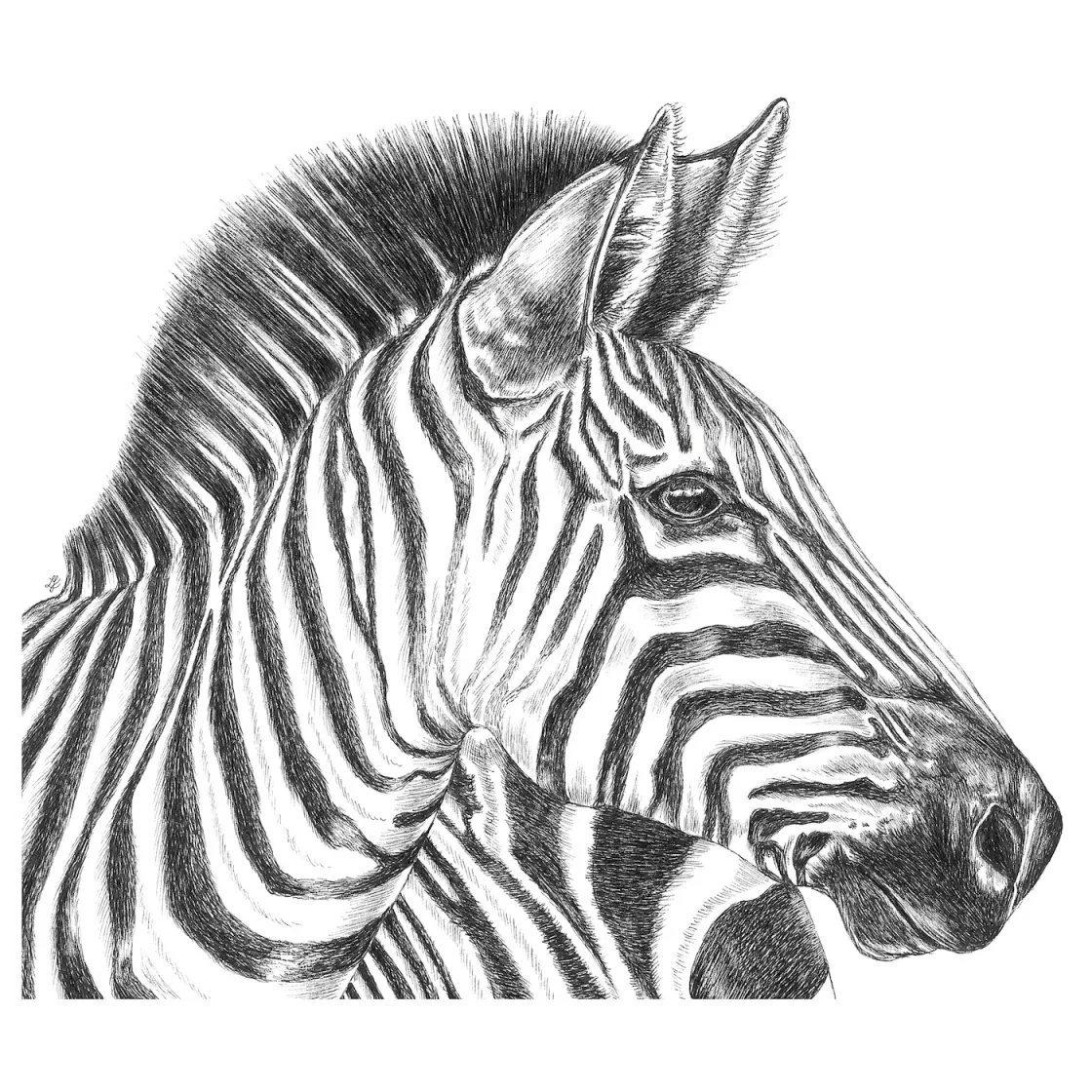 BJÖRKSTA Slika, crtež zebre, 140x100 cm