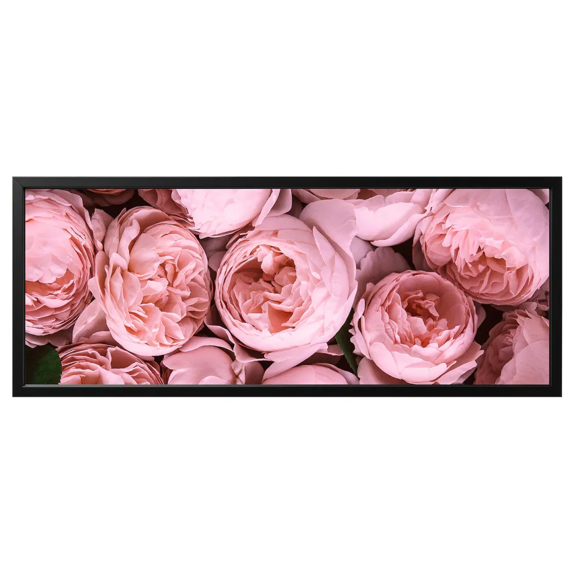 BJÖRKSTA Slika u ramu, Ružičasti božur/crna, 140x56 cm