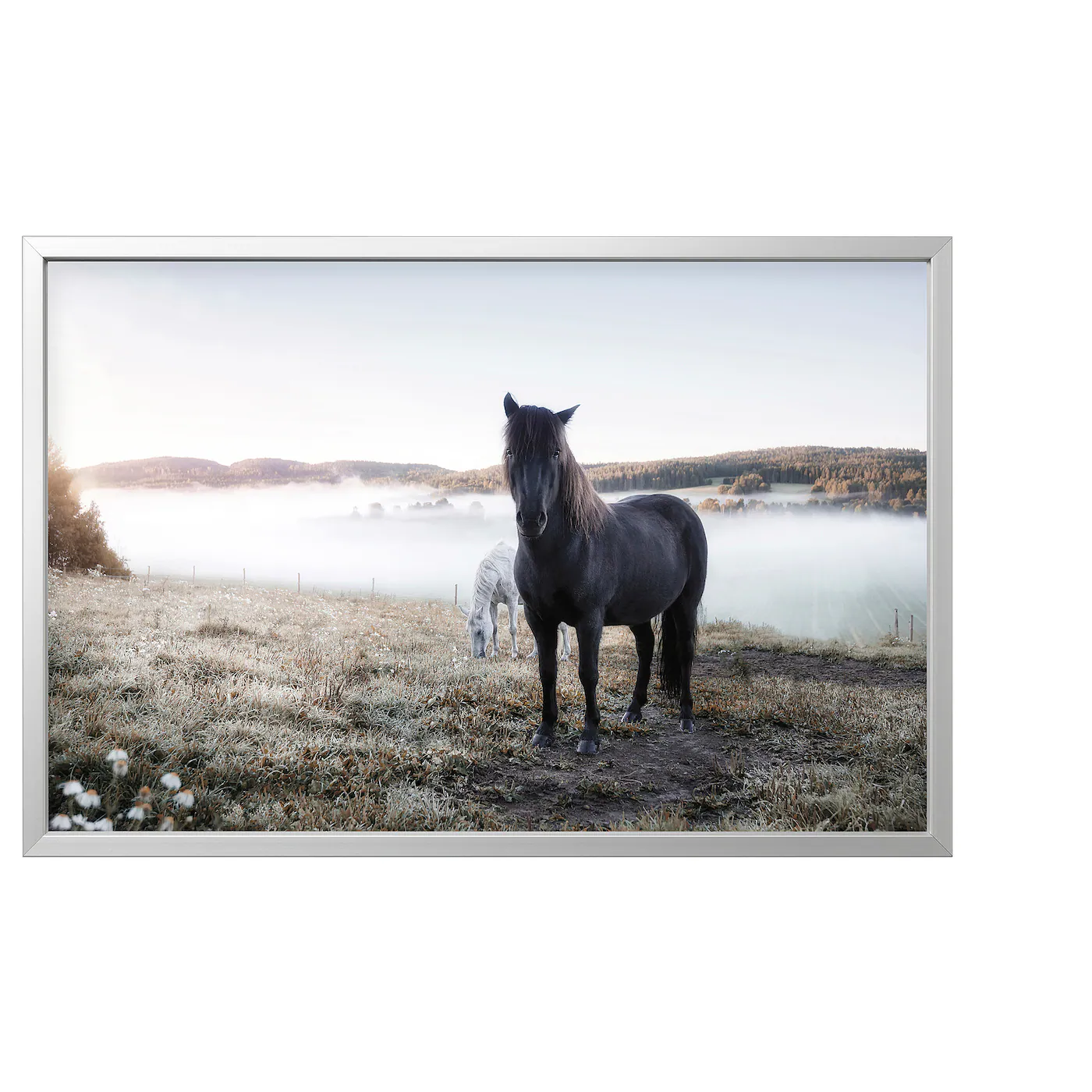 BJÖRKSTA Slika u ramu, konji na ispaši/boja aluminijuma, 118x78 cm