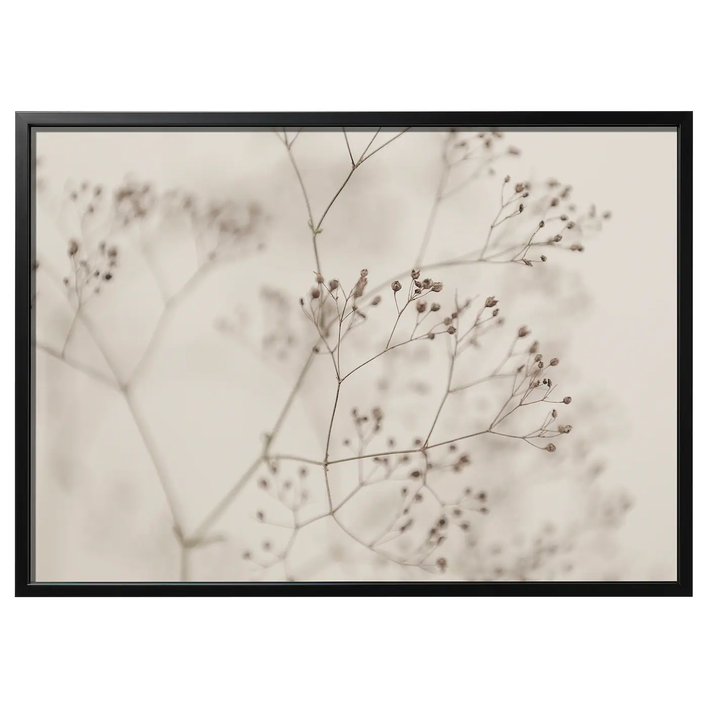 BJÖRKSTA Slika u ramu, krupni plan cveća/crna, 140x100 cm