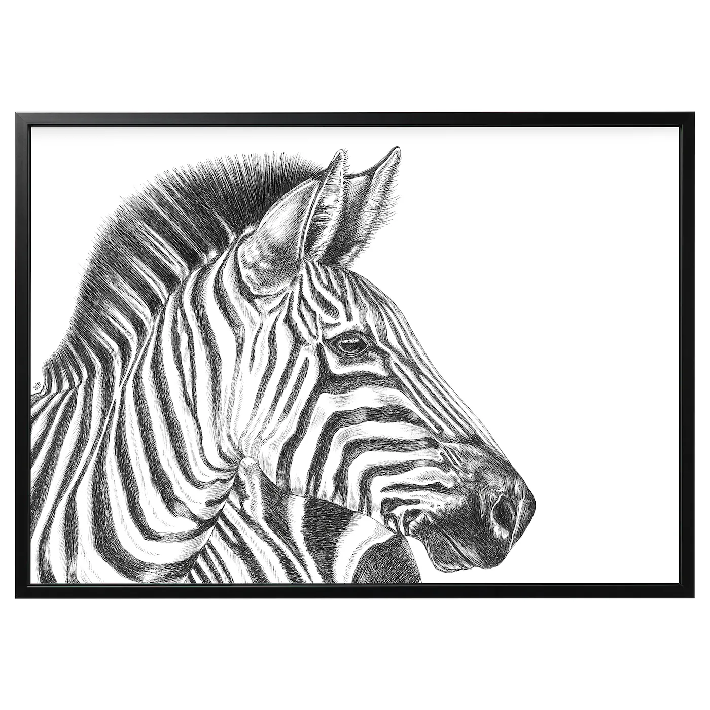 BJÖRKSTA Slika u ramu, crtež zebre/crna, 140x100 cm