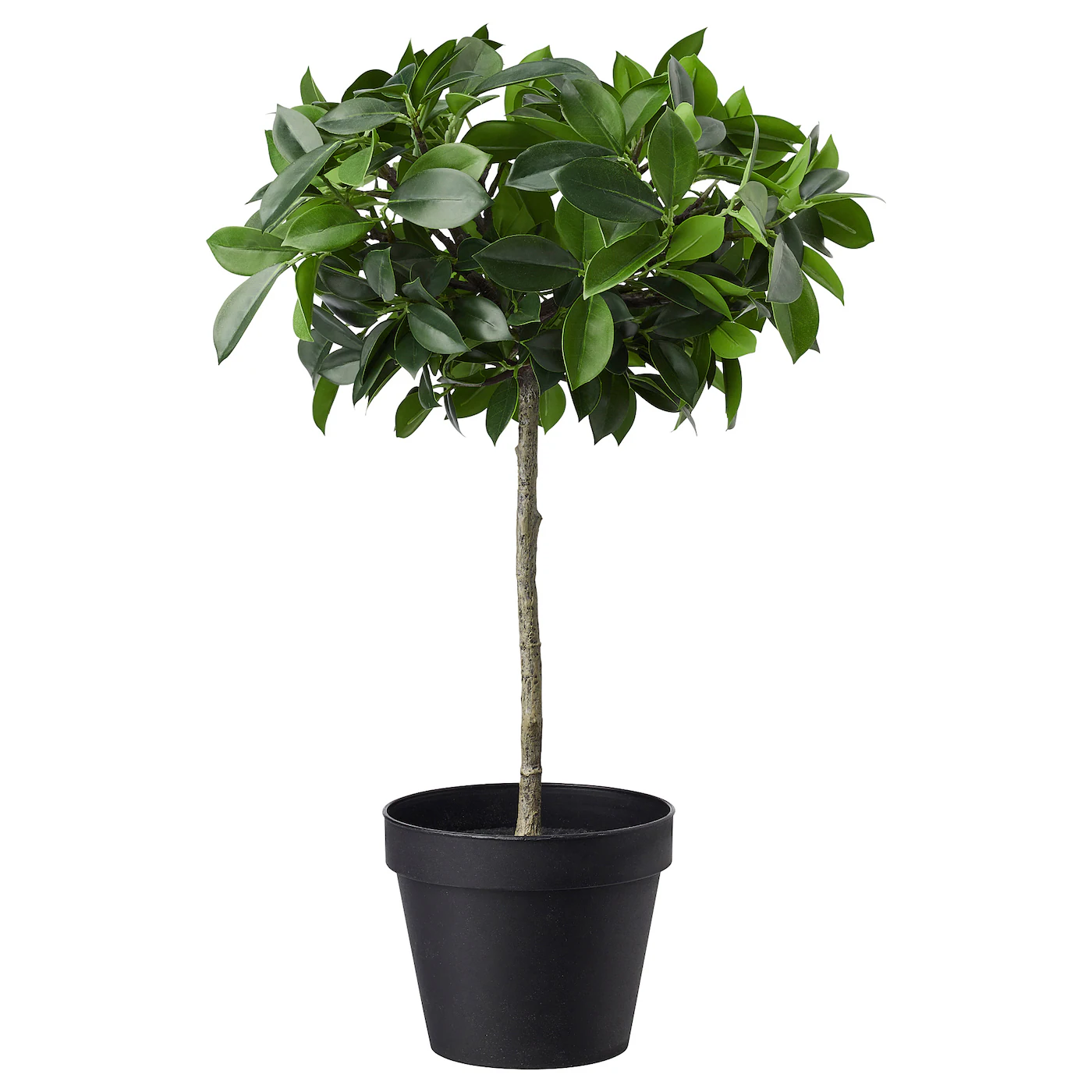 FEJKA Veštačka biljka u saksiji, unutra/spolja/fikus bendžamin stabljika, 12 cm
