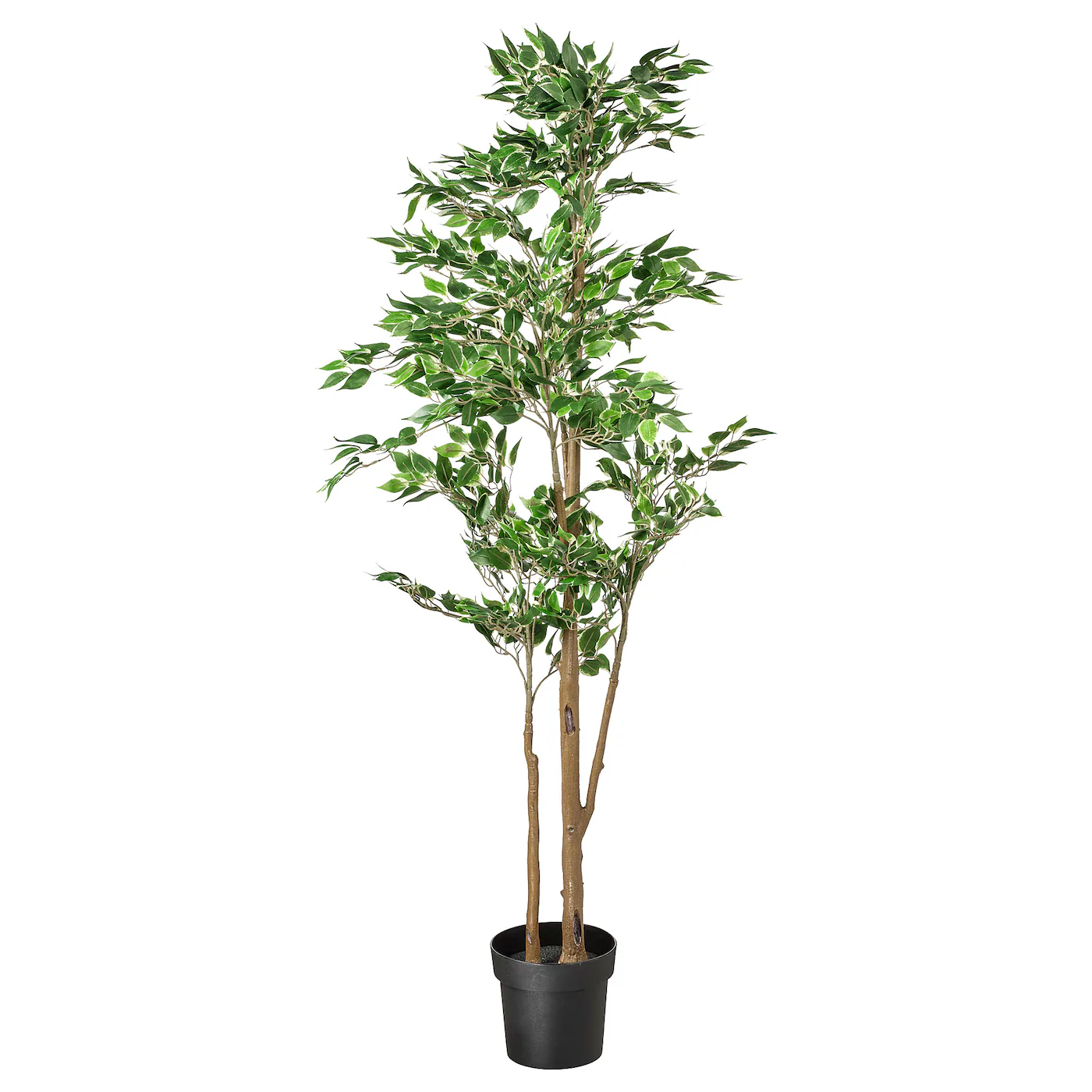 FEJKA Veštačka biljka u saksiji, unutra/spolja fikus bendžamin, 21 cm