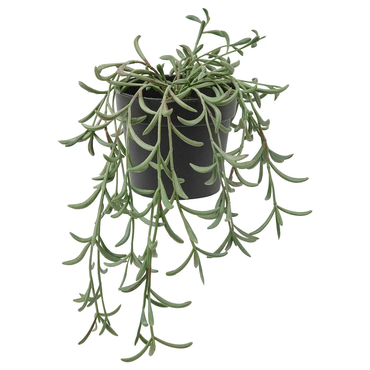 FEJKA Veštačka biljka u saksiji, unutra/spolja/Senecio radicans viseće, 9 cm