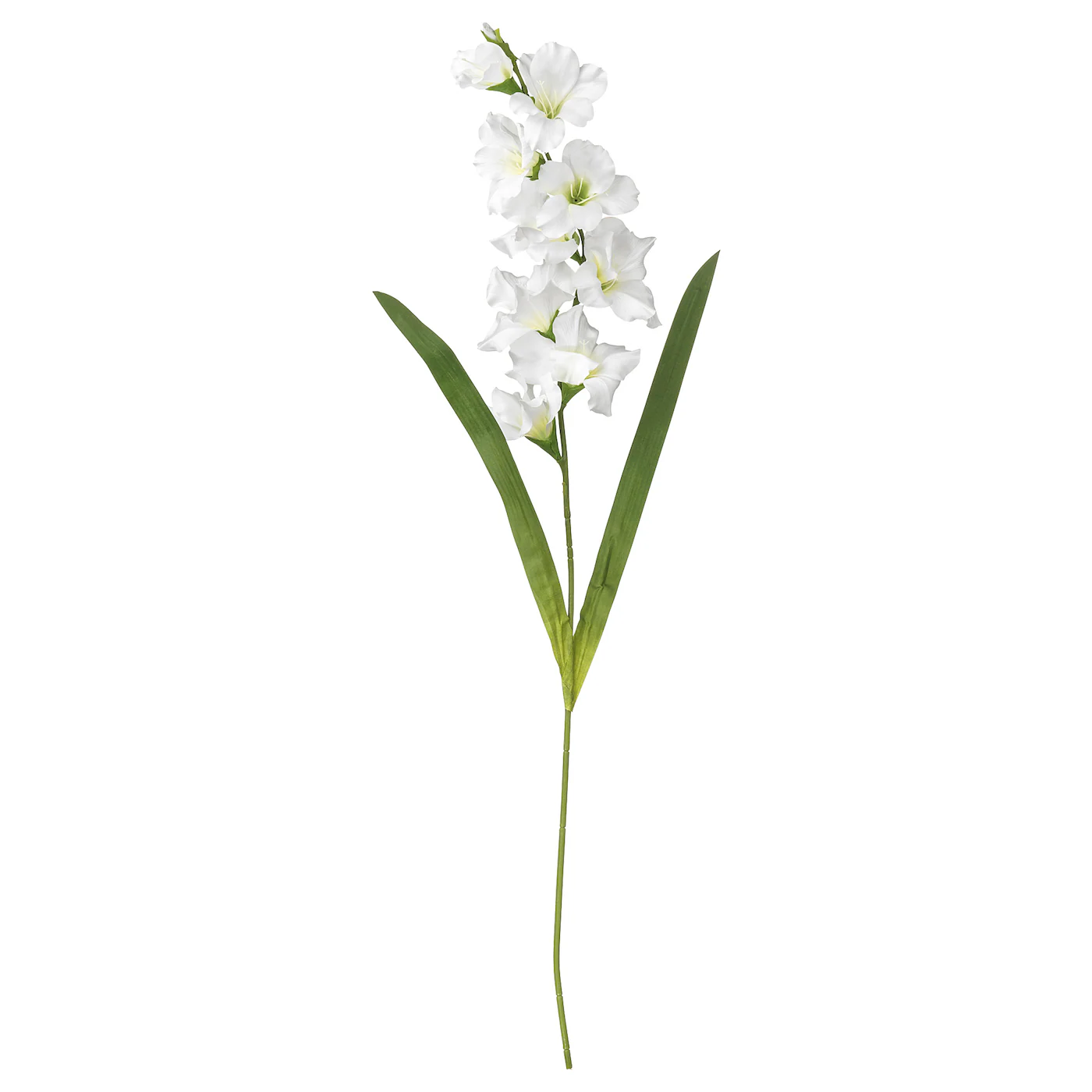 SMYCKA Veštački cvet, gladiola/bela, 100 cm
