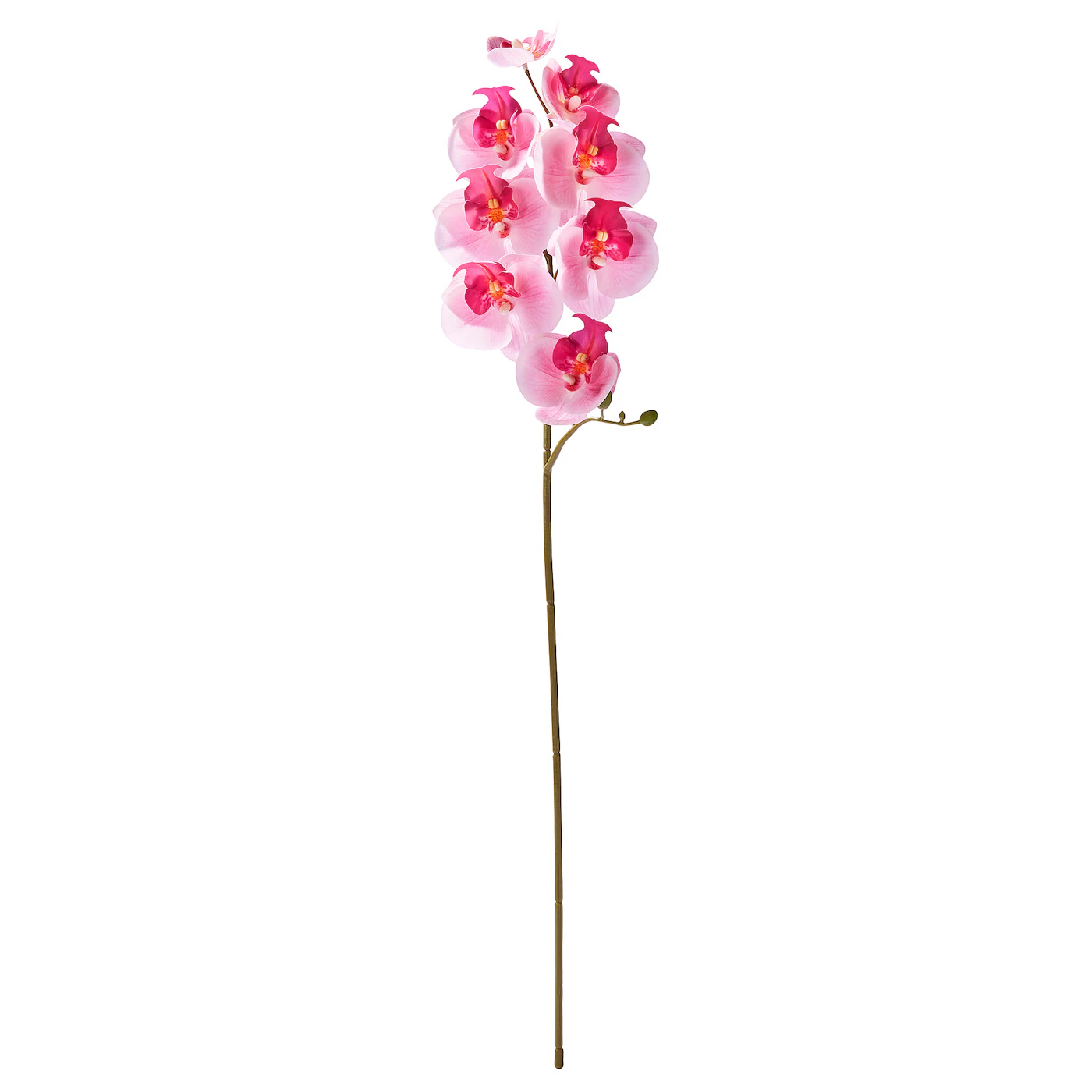 SMYCKA Veštački cvet, unutra/spolja/orhideja roze, 60 cm